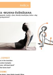 Ashtanga Yoga Primary Series Workbook 3